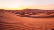 Les musiques du désert, du Gobi du sud de la Mongolie jusqu’au Sahara et au Kalahari