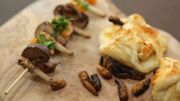 Une brochette d'insectes en dégustation Une brochette d'insectes en dégustation