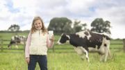Girl Holding Milk With Cow Girl Holding Milk With Cow
