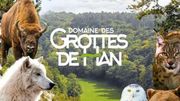 Cmoiki...me rends au Domaine des Grottes de Han en famille ! Cmoiki...me rends au Domaine des Grottes de Han en famille !