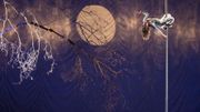 ''La dernière saison du Cirque Plume'', drôle, émouvant, magique et poétique ''La dernière saison du Cirque Plume'', drôle, émouvant, magique et poétique