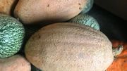 Echanger les graines de son potager: bon pour le porte-feuille et la biodiversité Echanger les graines de son potager: bon pour le porte-feuille et la biodiversité