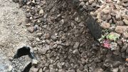 Le ballast est souillé par de la terre Le ballast est souillé par de la terre