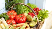 Comment végétaliser nos assiettes et booster sainement notre capital santé ? Comment végétaliser nos assiettes et booster sainement notre capital santé ?