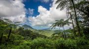 La Martinique, bientôt à quelques heures de vol de Charleroi La Martinique, bientôt à quelques heures de vol de Charleroi