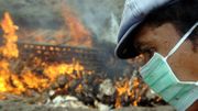 Des millions de masques FFP2 et FFP3 sont distribués à travers l'Asie du sud-est pour se protéger du virus. Des millions de masques FFP2 et FFP3 sont distribués à travers l'Asie du sud-est pour se protéger du virus.