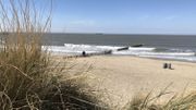 3 activités en Flandre zélandaise à quelques encablures de la mer du Nord 3 activités en Flandre zélandaise à quelques encablures de la mer du Nord
