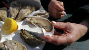 Citytrip en France : qu'y a-t-il à faire à Vannes ? Citytrip en France : qu'y a-t-il à faire à Vannes ?