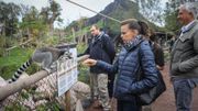 Stéphanie de Monaco était à Pairi Daiza ce jeudi pour visiter son filleul, l'éléphanteau Ta Wan Stéphanie de Monaco était à Pairi Daiza ce jeudi pour visiter son filleul, l'éléphanteau Ta Wan