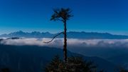 Le Bhoutan est un paradis naturel, un pays recouvert à 72% de forêts et de végétation (un minimum de 60% est exigé par la constitution). Le Bhoutan est un paradis naturel, un pays recouvert à 72% de forêts et de végétation (un minimum de 60% est exigé par la constitution).
