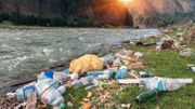 Plaie des océans, les microplastiques contaminent aussi les fleuves européens Plaie des océans, les microplastiques contaminent aussi les fleuves européens