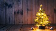 Déco: Des sapins taille réduite pour Noël Déco: Des sapins taille réduite pour Noël