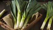 5 fruits et légumes de saison pour se booster en automne 5 fruits et légumes de saison pour se booster en automne