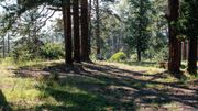 Pendant le jeûne, les patients sont encouragés à pratiquer la marche dans la forêt et au bord du lac. Ils sont suivis par le médecin chaque jour et reçoivent des traitements de balnéothérapie. Pendant le jeûne, les patients sont encouragés à pratiquer la marche dans la forêt et au bord du lac. Ils sont suivis par le médecin chaque jour et reçoivent des traitements de balnéothérapie.