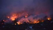 Incendies autour d'Athènes: au moins 50 morts, plus de 100 blessés Incendies autour d'Athènes: au moins 50 morts, plus de 100 blessés