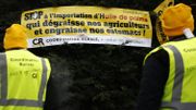 Manifestation devant une implantation française de Ferrero, fin 2018. Manifestation devant une implantation française de Ferrero, fin 2018.