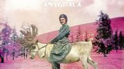 DJ KOZE "Amygdala" DJ KOZE "Amygdala"