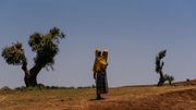 La déforestation et l’érosion des sols sont une des causes de l’insécurité alimentaire de millions d’Éthiopiens. La déforestation et l’érosion des sols sont une des causes de l’insécurité alimentaire de millions d’Éthiopiens.