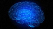 La résilience provient d'anomalies dans le cerveau La résilience provient d'anomalies dans le cerveau