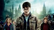 Magique : Harry Potter rejoint Netflix Magique : Harry Potter rejoint Netflix