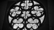 Des fleurs de pierre grillagées, un détail observé par les photographes Des fleurs de pierre grillagées, un détail observé par les photographes