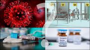Coronavirus : mortalité, symptômes, transmission, traitements, incubation, vaccin, le vrai du faux Coronavirus : mortalité, symptômes, transmission, traitements, incubation, vaccin, le vrai du faux