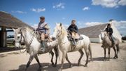 Partez à la découverte d'un pays sauvage, la Camargue! Partez à la découverte d'un pays sauvage, la Camargue!