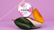 La crème légère La crème légère