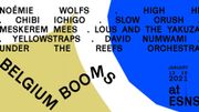 Belgium Booms artistes Belgium Booms artistes