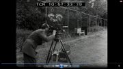 Actualités filmées belges, Londres, 1944 Actualités filmées belges, Londres, 1944