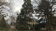 Le parc du château abrite une centaines d'arbres dont un séquoia Le parc du château abrite une centaines d'arbres dont un séquoia
