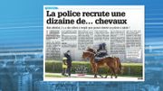 L'annonce peut surprendre, mais elle est bien vraie. La police fédérale va engager une petite dizaine… de chevaux L'annonce peut surprendre, mais elle est bien vraie. La police fédérale va engager une petite dizaine… de chevaux
