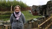 Jella Wauters mène pour la Pairi Daiza Foundation des recherches à la faculté Vétérinaire de l’Université de Gand. Ses recherches visent à développer un test qui permettra aux scientifiques, partout dans le monde, de prédire la période de chaleur de la femelle panda. Jella Wauters mène pour la Pairi Daiza Foundation des recherches à la faculté Vétérinaire de l’Université de Gand. Ses recherches visent à développer un test qui permettra aux scientifiques, partout dans le monde, de prédire la période de chaleur de la femelle panda.