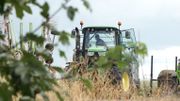 Un diplôme d’électricien en poche, Tanguy se tourne tout de même vers le métier d’agriculteur Un diplôme d’électricien en poche, Tanguy se tourne tout de même vers le métier d’agriculteur