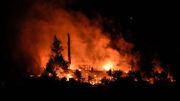 Les feux de l'été ont causé des émissions record de CO2, selon Copernicus Les feux de l'été ont causé des émissions record de CO2, selon Copernicus