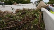 Avec la sécheresse, le volume de déchets verts a fondu: quid du compost pour les agriculteurs? Avec la sécheresse, le volume de déchets verts a fondu: quid du compost pour les agriculteurs?