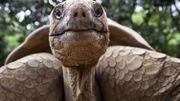 Comment la captivité peut-elle sauver des espèces proches de l'extinction ? Comment la captivité peut-elle sauver des espèces proches de l'extinction ?