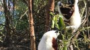Cap sur Nosy Be, l'envoûtante et sensuelle île aux parfums… Cap sur Nosy Be, l'envoûtante et sensuelle île aux parfums…