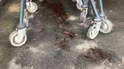 Un chevreuil traqué par des chasseurs sur le parking d'un supermarché français Un chevreuil traqué par des chasseurs sur le parking d'un supermarché français