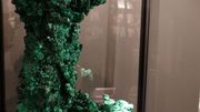 Vert désir Vert désir