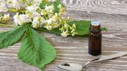Comment utiliser les fleurs de Bach au quotidien ? Comment utiliser les fleurs de Bach au quotidien ?