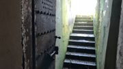Une sortie du bunker débouchait dans un massif de rosier Une sortie du bunker débouchait dans un massif de rosier
