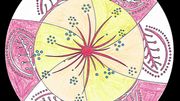 Le mandala pour voir la vie du bon côté.... Le mandala pour voir la vie du bon côté....
