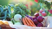 Lutter contre le gaspillage alimentaire et la pauvreté en même temps Lutter contre le gaspillage alimentaire et la pauvreté en même temps