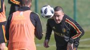 Radja Nainggolan Radja Nainggolan