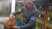 Christian Durieux élève une trentaine de lapins à Obourg, près de Mons Christian Durieux élève une trentaine de lapins à Obourg, près de Mons