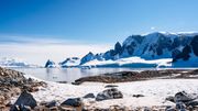 Nouvelle menace pour l'Antarctique: les espèces invasives apportées par l'Homme. Nouvelle menace pour l'Antarctique: les espèces invasives apportées par l'Homme.
