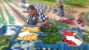 Des haricots à huit euros le kilo? Merci la météo! Des haricots à huit euros le kilo? Merci la météo!