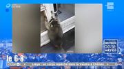 Vous avez raté les "buzz" du week-end ? Voici la session de rattrapage ! Vous avez raté les "buzz" du week-end ? Voici la session de rattrapage !