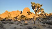 Vivez l'aventure California Dreamin' Vivez l'aventure California Dreamin'